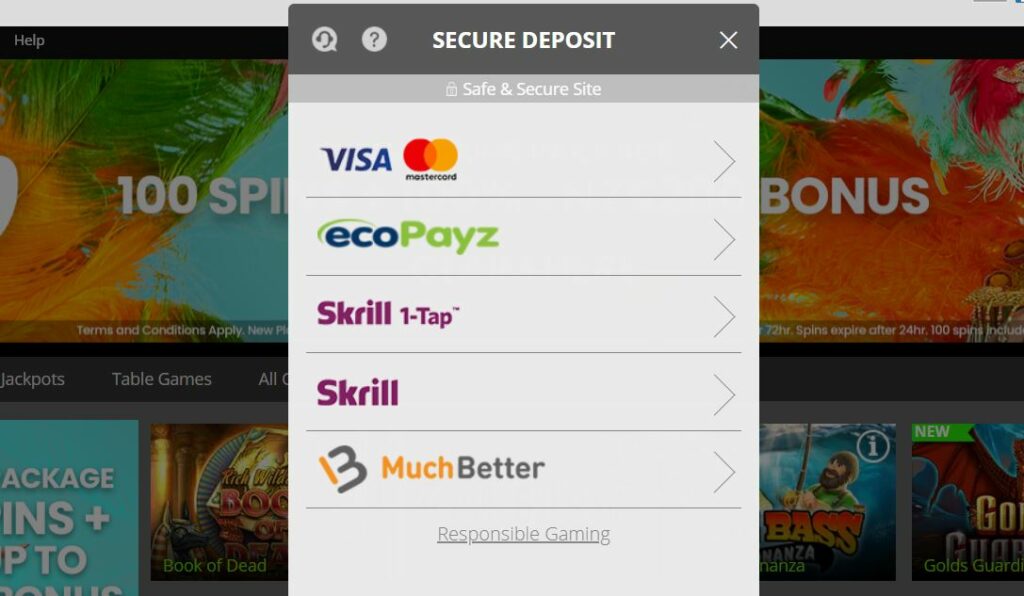 Spin Rio casino available banking methods