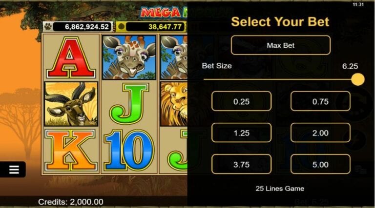 Bet levels at Mega Moolah slot game.