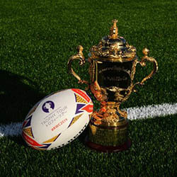 Rugby world cup
